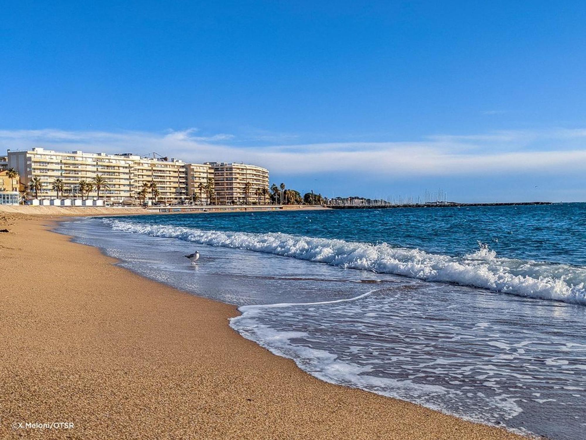 Appartement 2P, 4 Couchages, Terrasse Et Salon De Jardin A 200M De La Plage, Frejus - Fr-1-226A-22 Ngoại thất bức ảnh